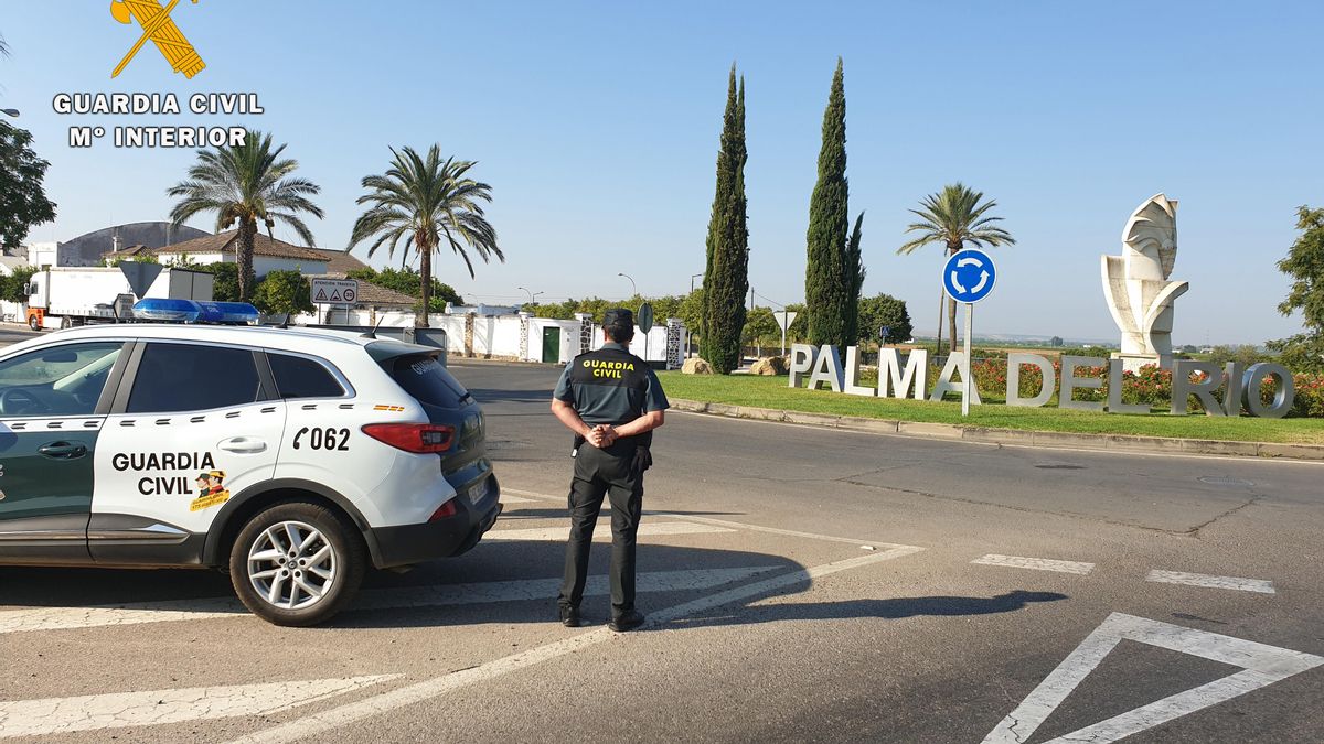 Bajo investigación el presunto autor de tres incendios forestales en Palma del Río