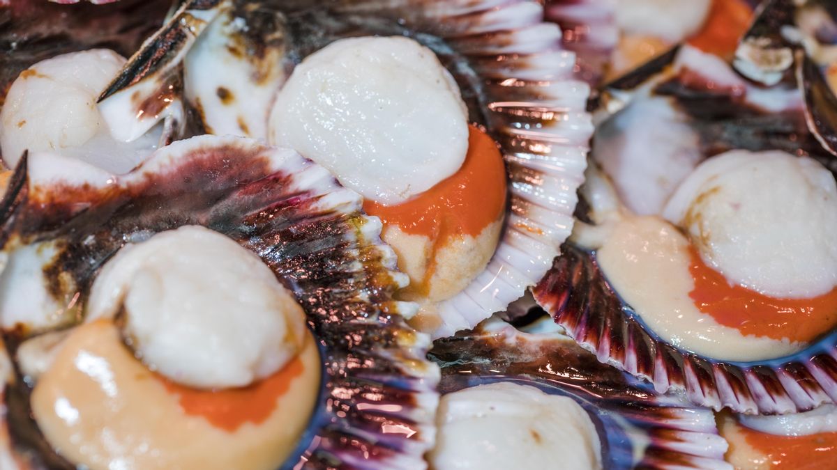 Todo lo que necesitas saber sobre cómo descongelar las vieiras antes de cocinarlas