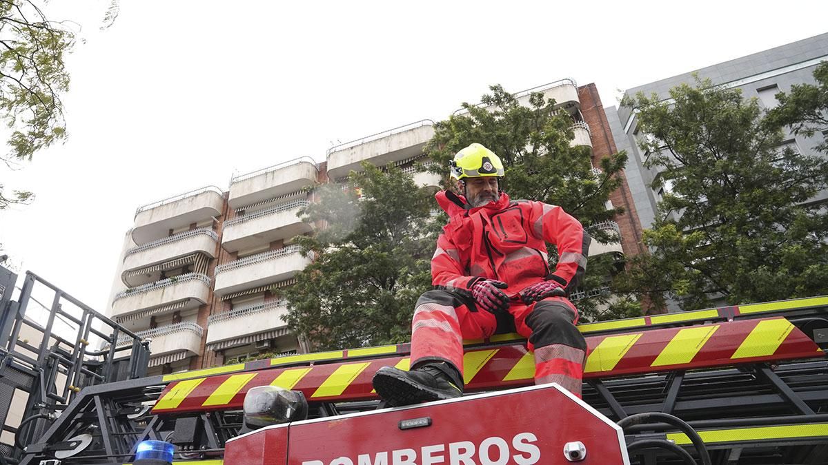 Los bomberos retiran un árbol caído en la Avenida América