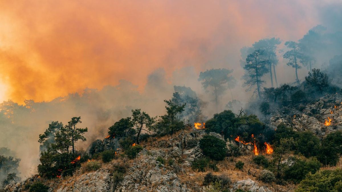 Mapa municipal de perill d’incendis forestals