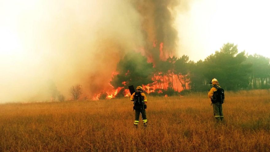 Incendio que llegó a nivel 1 este lunes en La Cepeda.