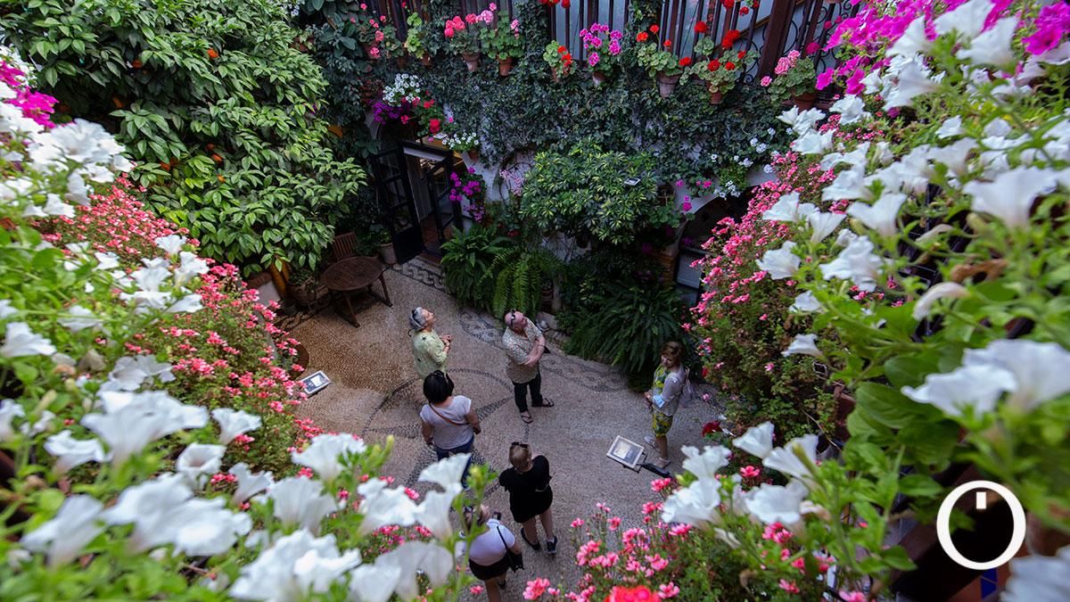 Patio Ocaña,19 - 2022