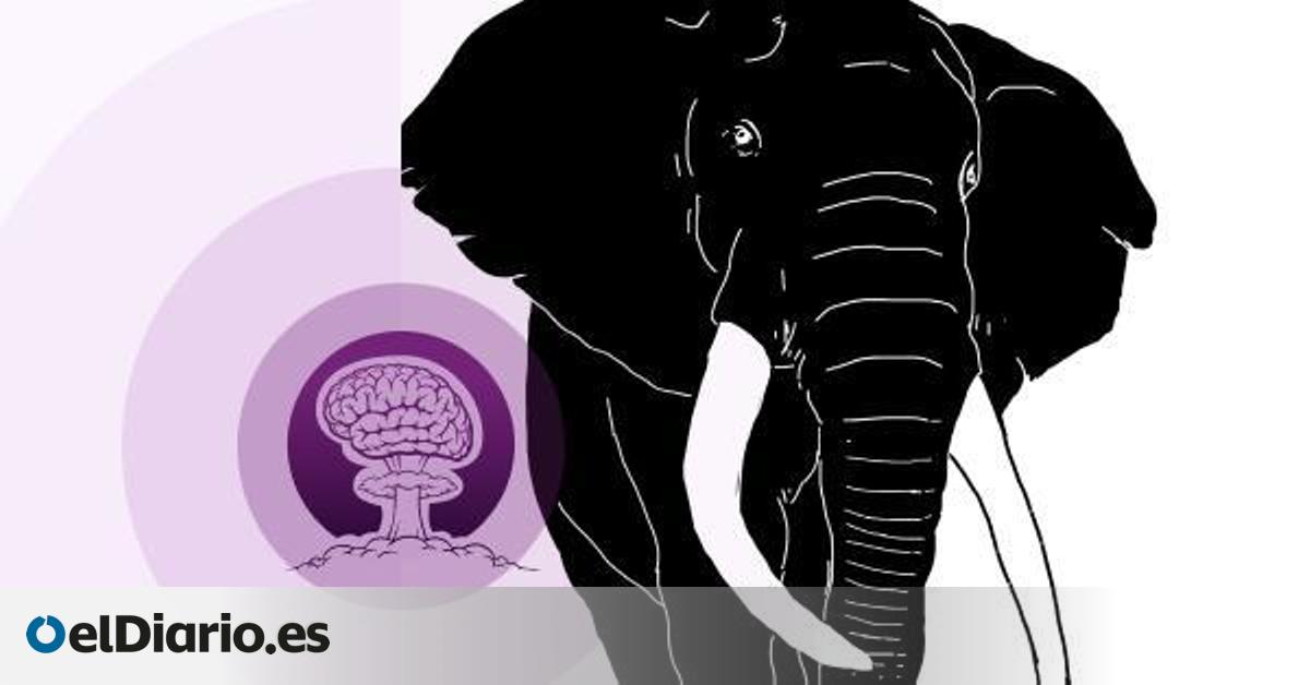 🎙 PODCAST | El gabinete de historia natural o el rey que trajo los elefantes a España