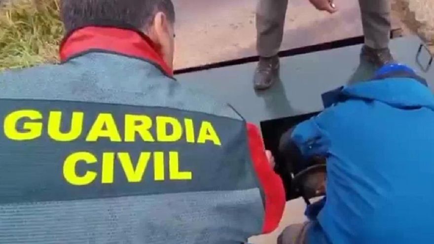 Pozos ilegales de la Casa de Alba: la denuncia de jornaleros que tiene en vilo a los mayores terratenientes de España