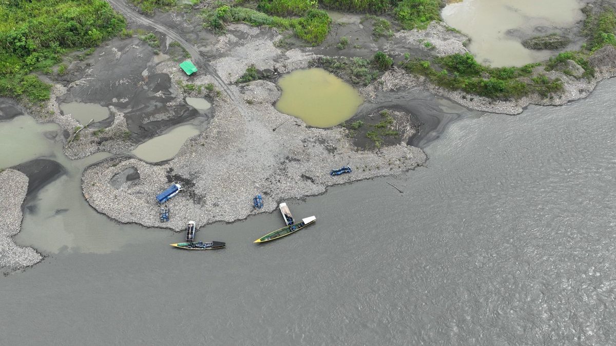 Día Internacional de los Parques Nacionales: áreas protegidas en emergencia ante el avance de minería, deforestación y petróleo