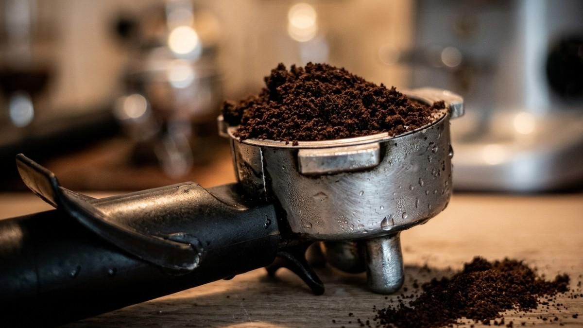 La Universidad de León logra producir biobutanol a partir de residuos de café de forma más eficiente y barata