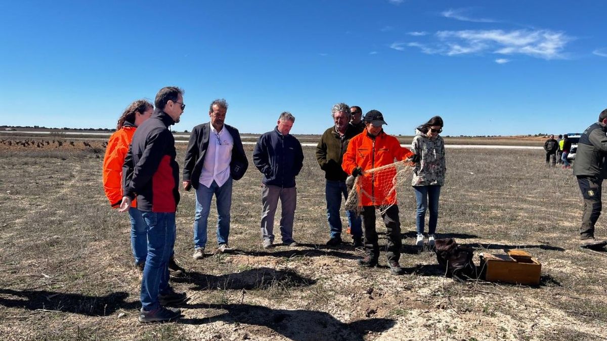 Huroneros echando las redes