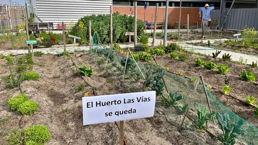 El Ayuntamiento quiere destruir el huerto cedido a los vecinos que protestaron por las talas de Madrid Río: "Es una venganza"