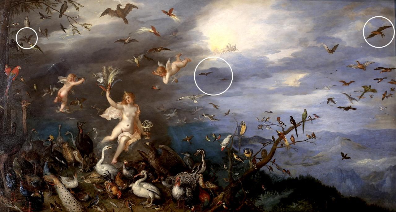 Los murciélagos en la 'Alegoría del aire' de Brueghel, el viejo. A la derecha, el nóctulo gigante.
