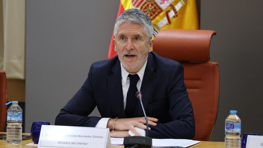 Marlaska afirma que no "sabía nada" de la denuncia contra el jefe operativo de la Policía y dimitirá si la víctima cree que "le ha fallado"