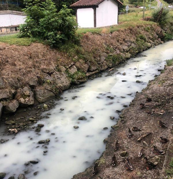 Las aguas de la regata de Mijoa, turbias por un vertido