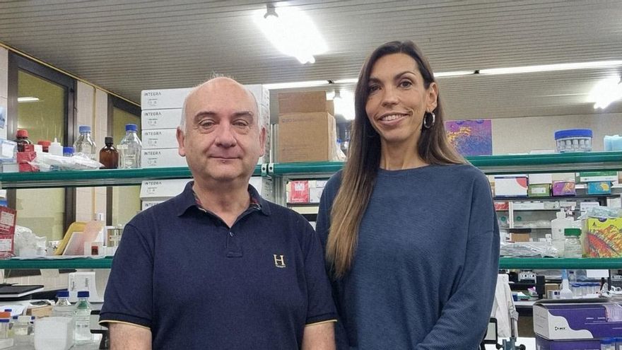 El Instituto de Ganadería de Montaña lidera un nuevo proyecto para estudiar los contaminantes en la ganadería ovina