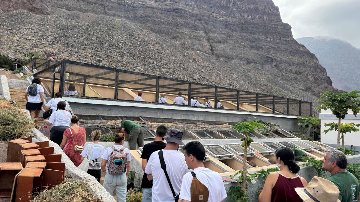 Visita al Lagartario de La Gomera en la jornada 'Somos Gigantes'.