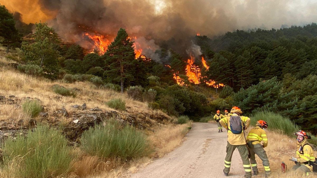 Bomberos forestales en el incendio de Jarilla.