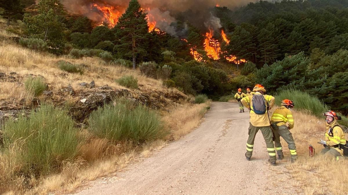 El Gobierno del PP en Extremadura dejó sin ejecutar en 2025 casi la mitad del presupuesto de prevención de incendios