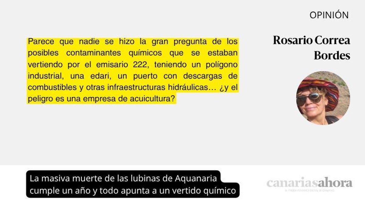 La masiva muerte de las lubinas de Aquanaria cumple un año y todo apunta a un vertido químico