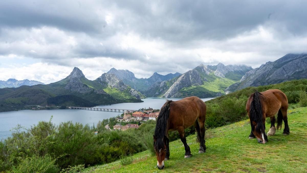 Dos caballos con el embalse de Riaño de fondo. 