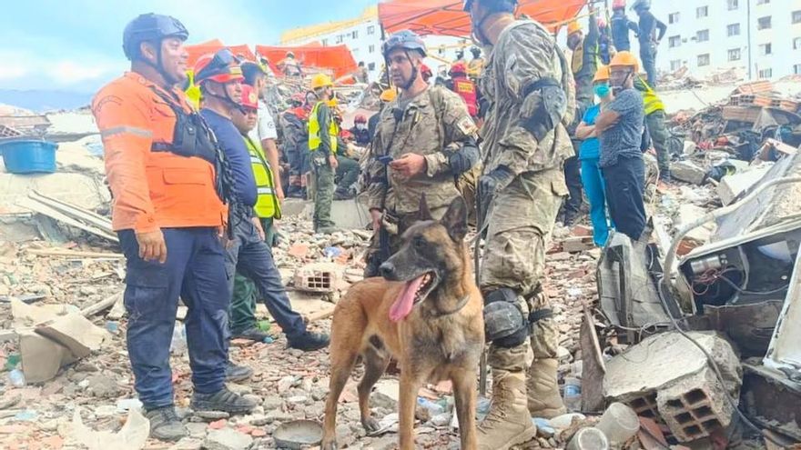 Terremotos en Venezuela: son 6 los argentinos muertos y hay 7 con búsqueda de paradero