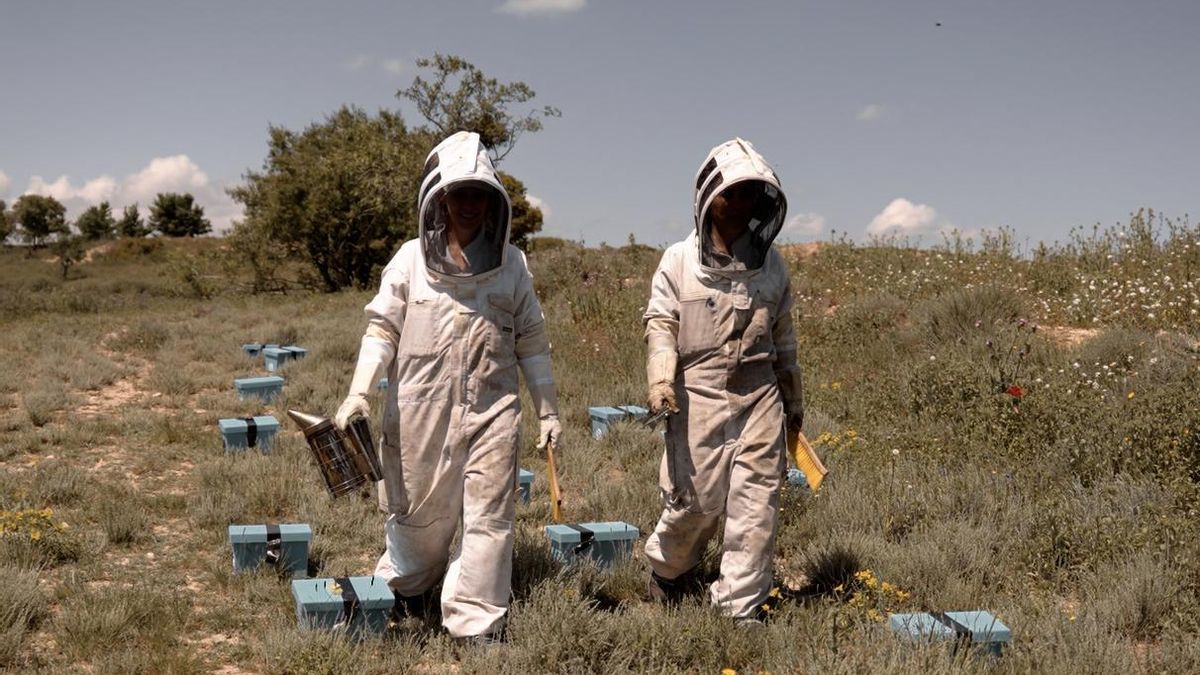 Lucía Ibáñez Gallego y Natalia Laínez Carretero