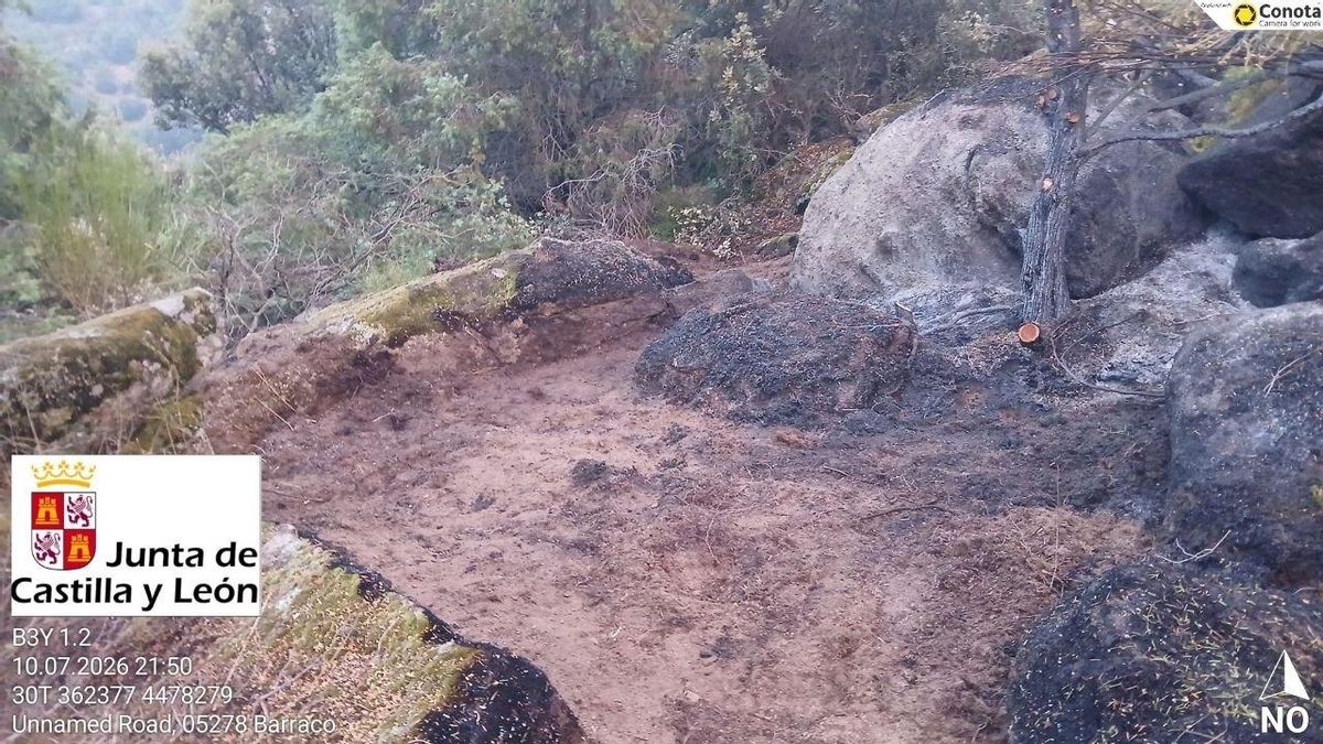 Mejora la situación de los incendios en Castilla y León gracias al trabajo nocturno rebajando gravedad en Ávila y León
