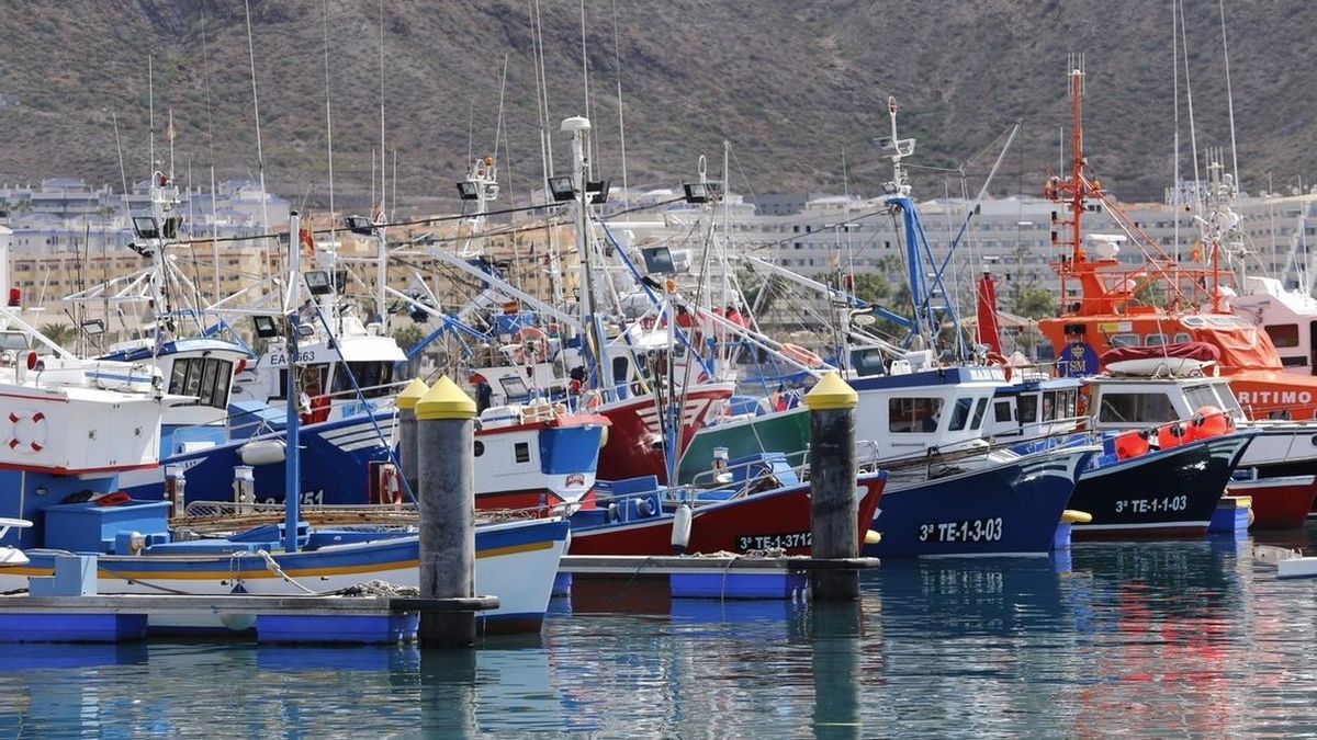 El Ministerio de Agricultura abre este lunes la pesquería de atún rojo en el caladero canario