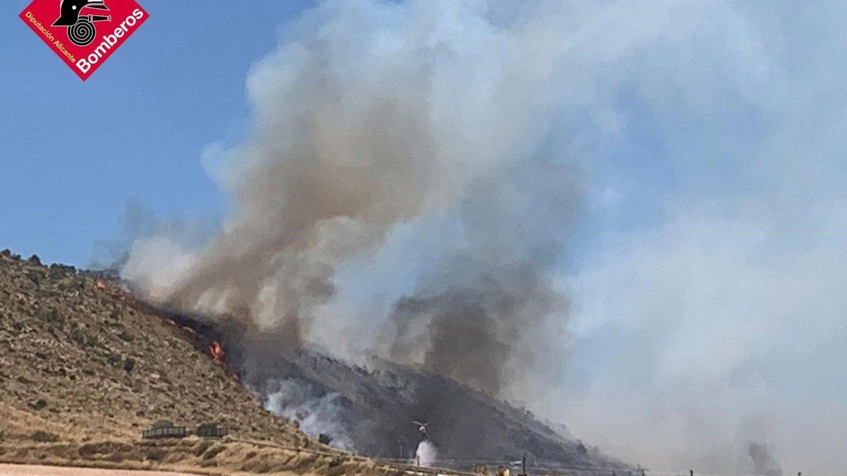El incendio declarado este sábado en Villena, ya perimetrado.