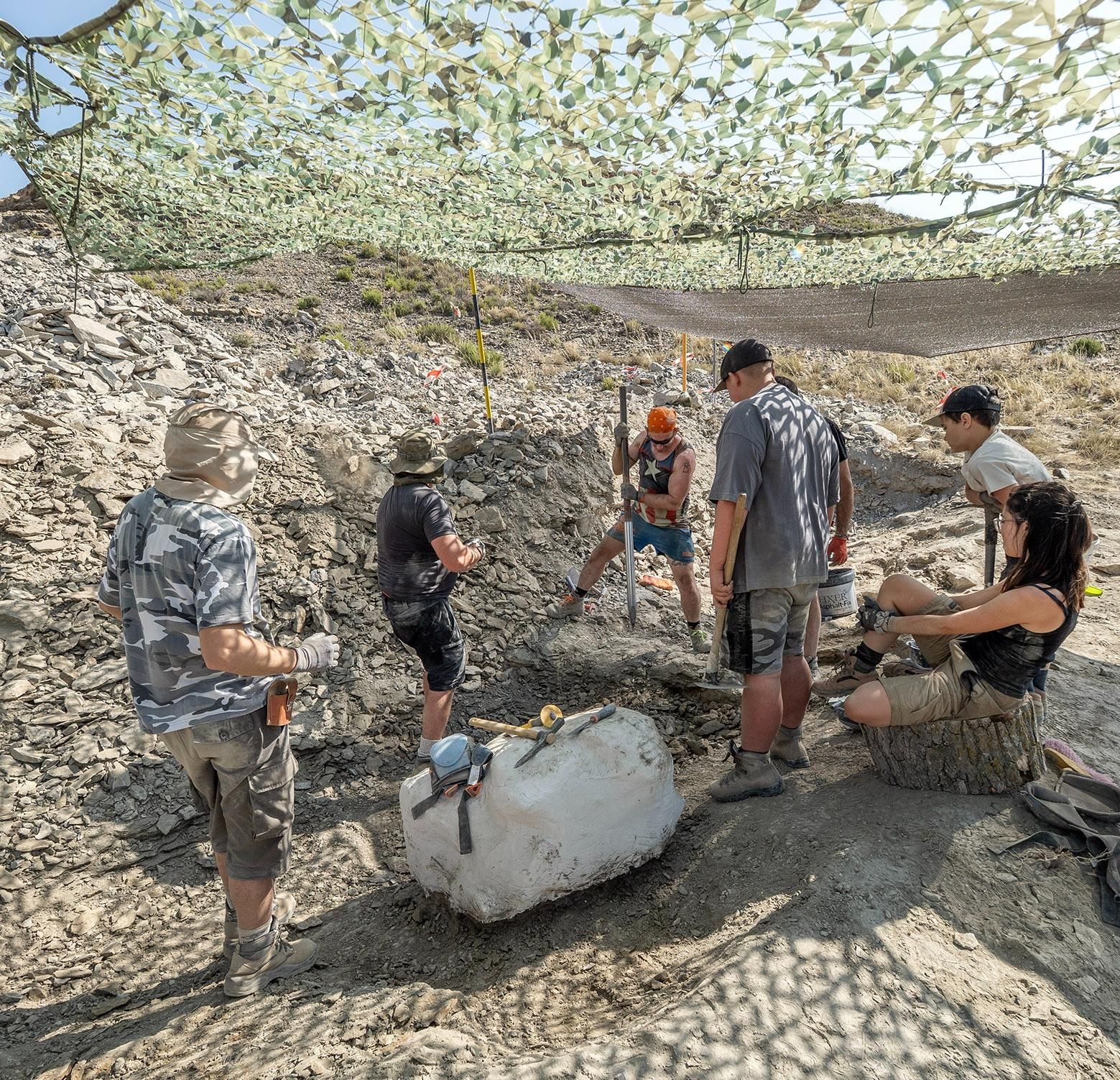 Excavación en 2025 en el yacimiento Las Cerradas de Igea