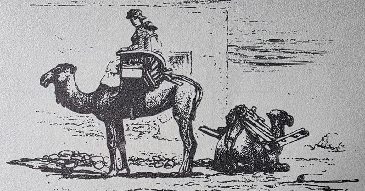 La viajera británica que anticipó el turismo en Gran Canaria y sus amigos Chil y Millares