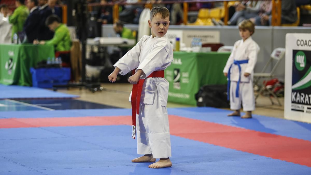 Campeonato de Andalucía infantil de kárate