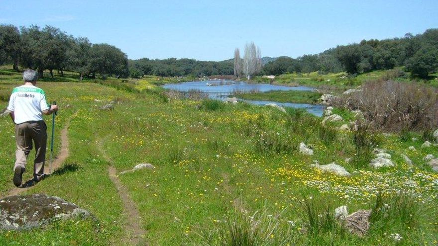 Tres rutas de senderismo fáciles y de no más dos horas por Sevilla