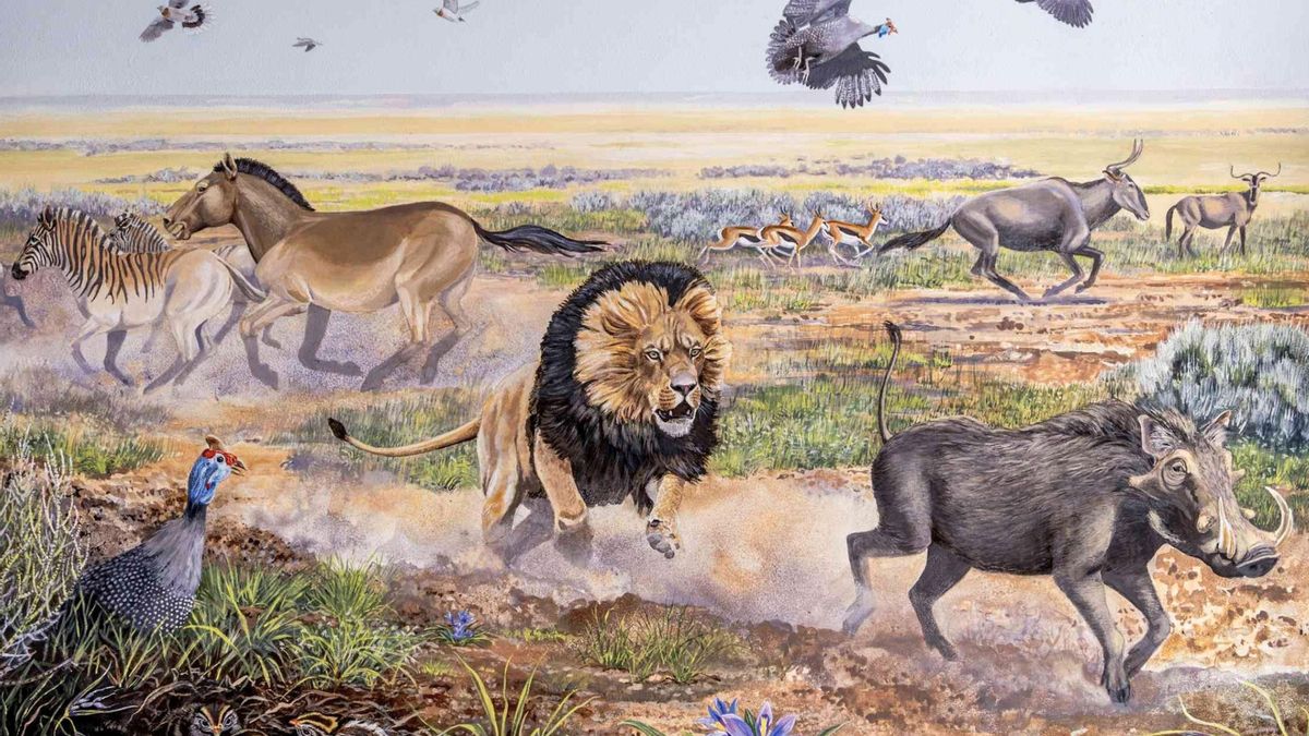 Las huellas de leones de la Edad de Hielo revelan cómo eran estos depredadores gracias a dos formas distintas de estudiar su pasado