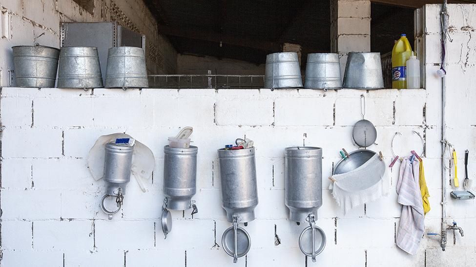 'Wwoofers', voluntarios rurales de agricultura ecológica.