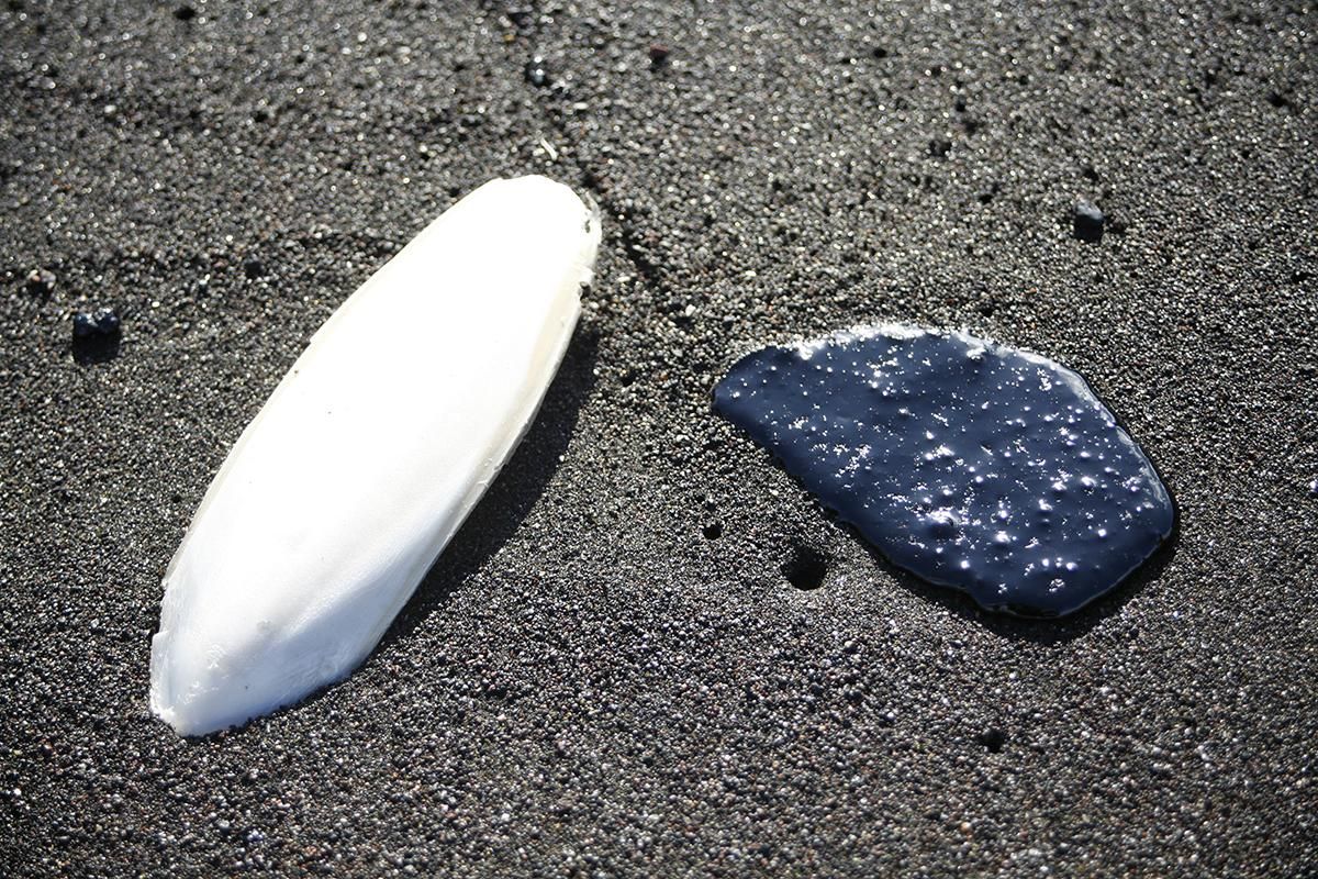 Recogida de fuel en la playa de Veneguera (Alejandro Ramos)