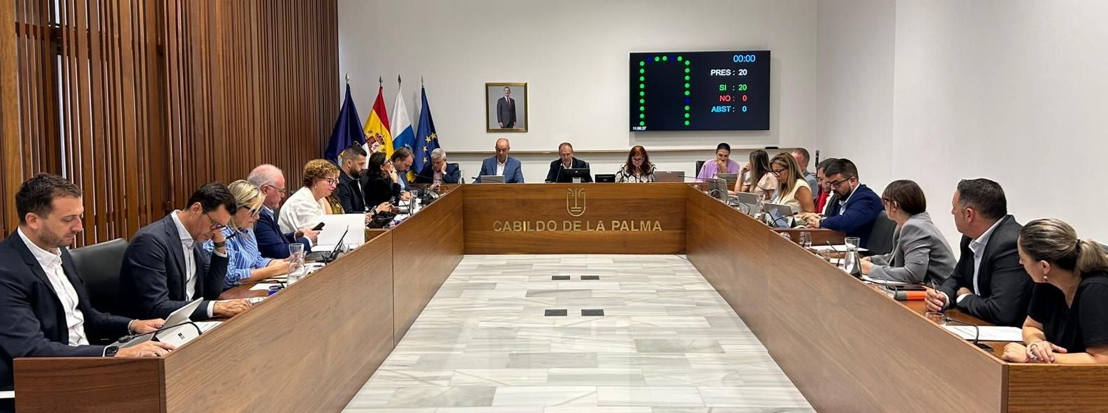 El Cabildo aprueba por unanimidad una moción de apoyo a los pacientes afectados por COVID persistente.