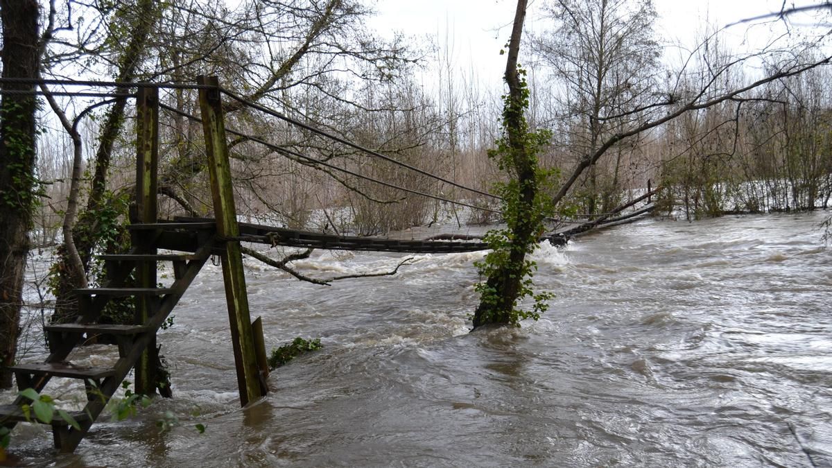 Fotografía del puente colgante de las Barrancas de Santalla, entre Santalla y Villaverde de la Abadía, del libro de David Zamorano 'Puentes y pasos sobre el río Sil'. 