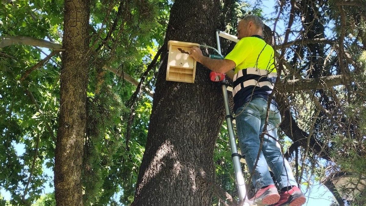 Un operario, instalando una de las cajas.
