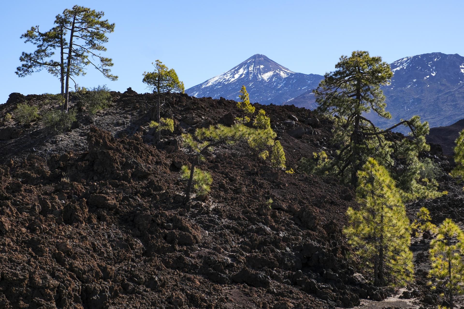Malpaís de lava y el pico del Teide, aún con nieve, sobresaliendo detrás.