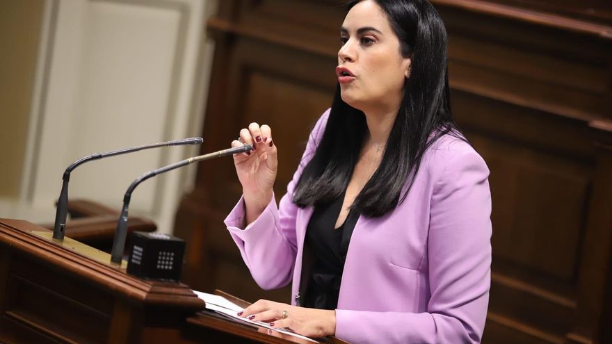 Diputada tránsfuga del Parlamento canario impugna la reforma del reglamento que la dejaría sin financiación en la campaña electoral