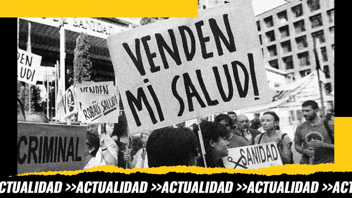 1563 grafica sin logo