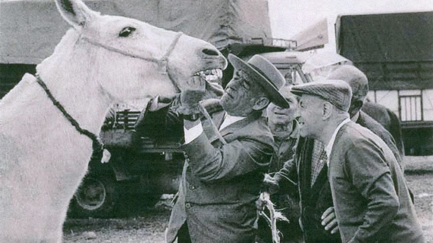 Los dientes nunca engañan