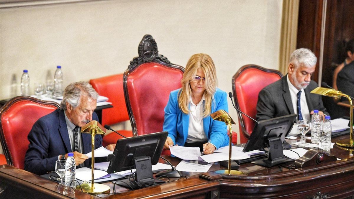 El Senado de la provincia de Buenos Aires que conduce Verónica Magario convirtió en ley los proyectos de Presupuesto 2026 y Ley Fiscal Impositiva.