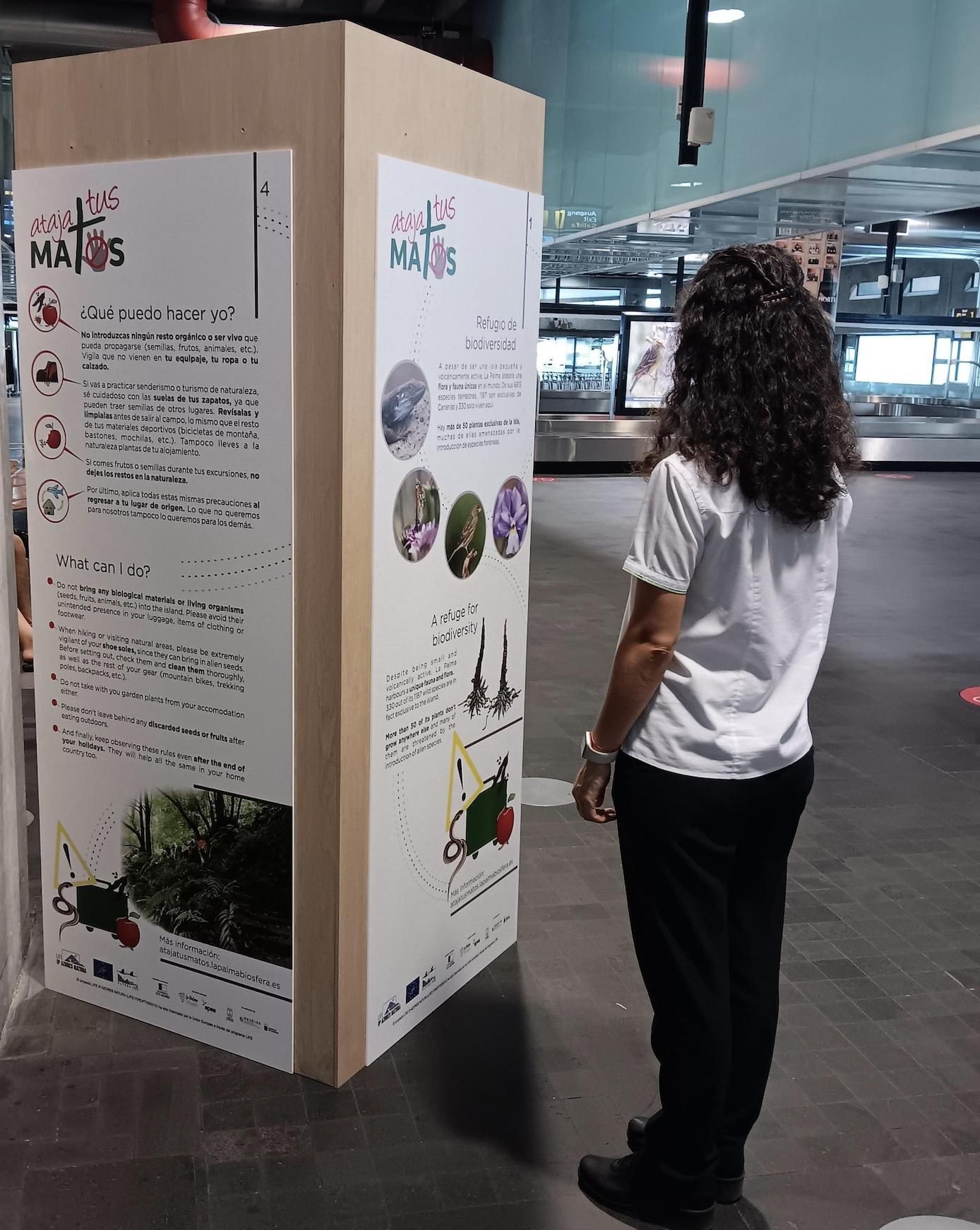 El Aeropuerto de La Palma ha instalado material informativo (un vinilo y dos tótems) en la zona de llegadas de la terminal con datos relevantes sobre la biodiversidad de La Palma, resaltando la importancia de no trasladar especies, incluso entre islas.