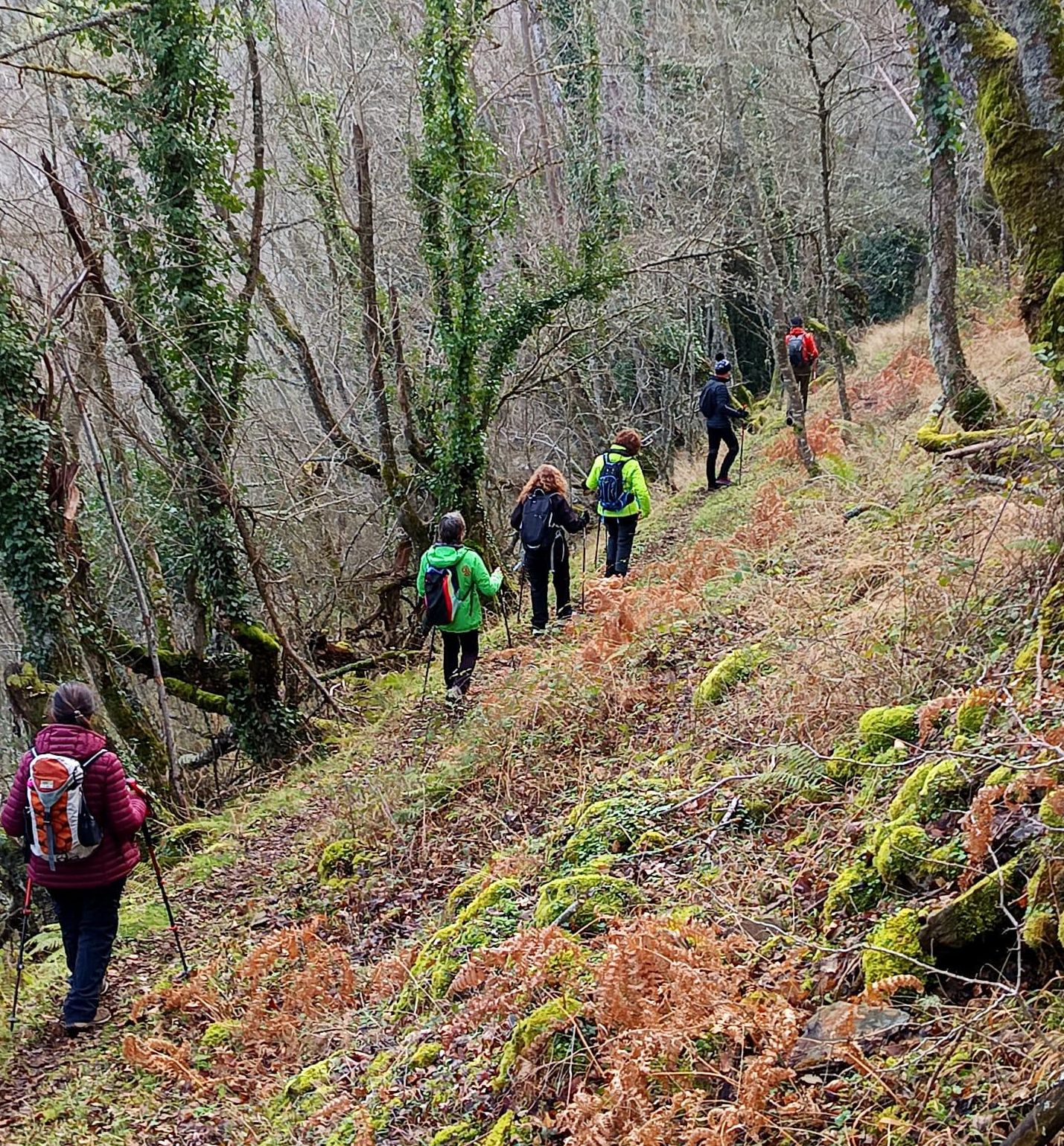 Ruta senderista en el entorno de Ezcaray