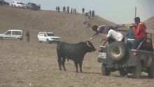 Encierrtos por el campo de Illana / Youtube