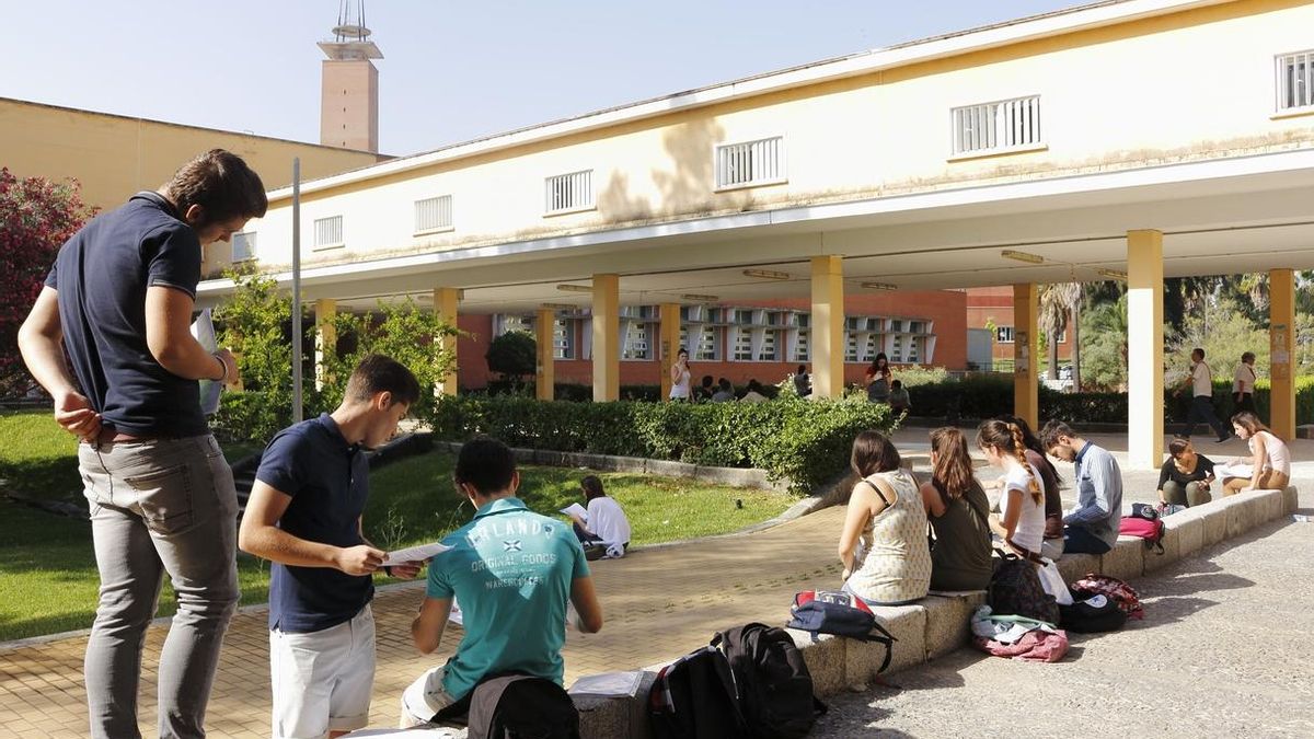 La medida de bonificación de matrículas universitarias beneficia este curso a casi 77.000 alumnos andaluces