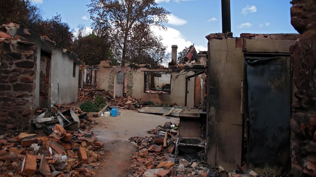 La Casa de León en Madrid acoge este viernes un evento musical solidario con los afectados por los incendios