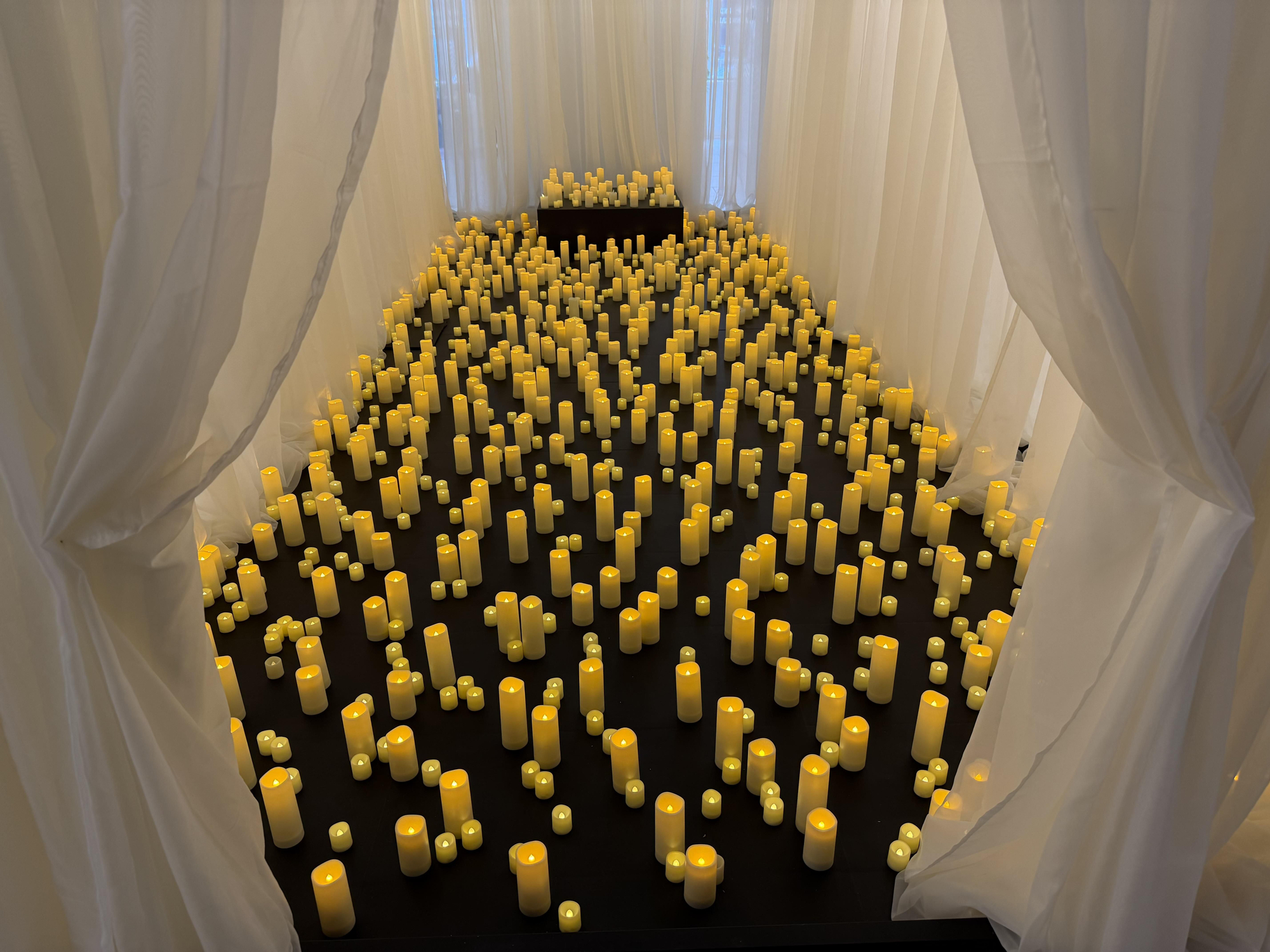 The Donald J. Trump and Jeffrey Epstein Memorial Reading Room.
