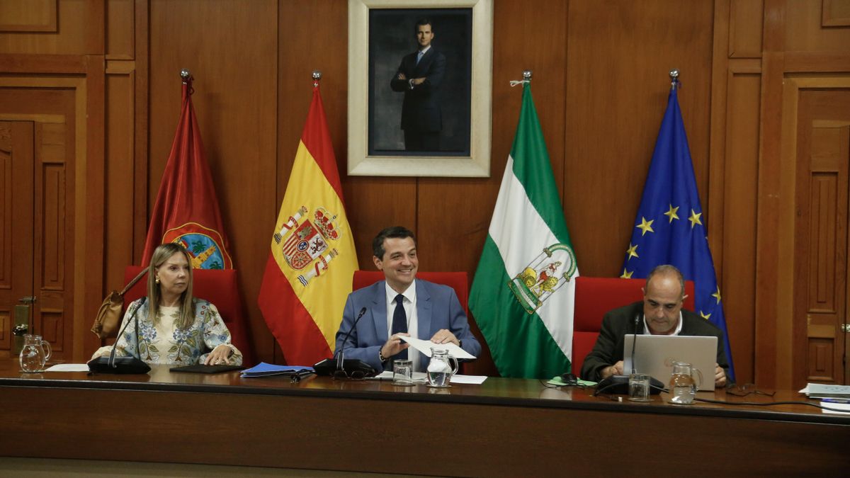 Pleno ordinario de junio del Ayuntamiento