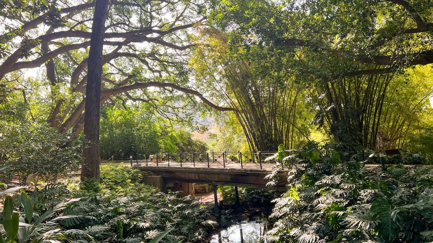 El jardín botánico de estilo inglés y romántico del siglo XIX que alberga una colección subtropical al aire libre muy peculiar