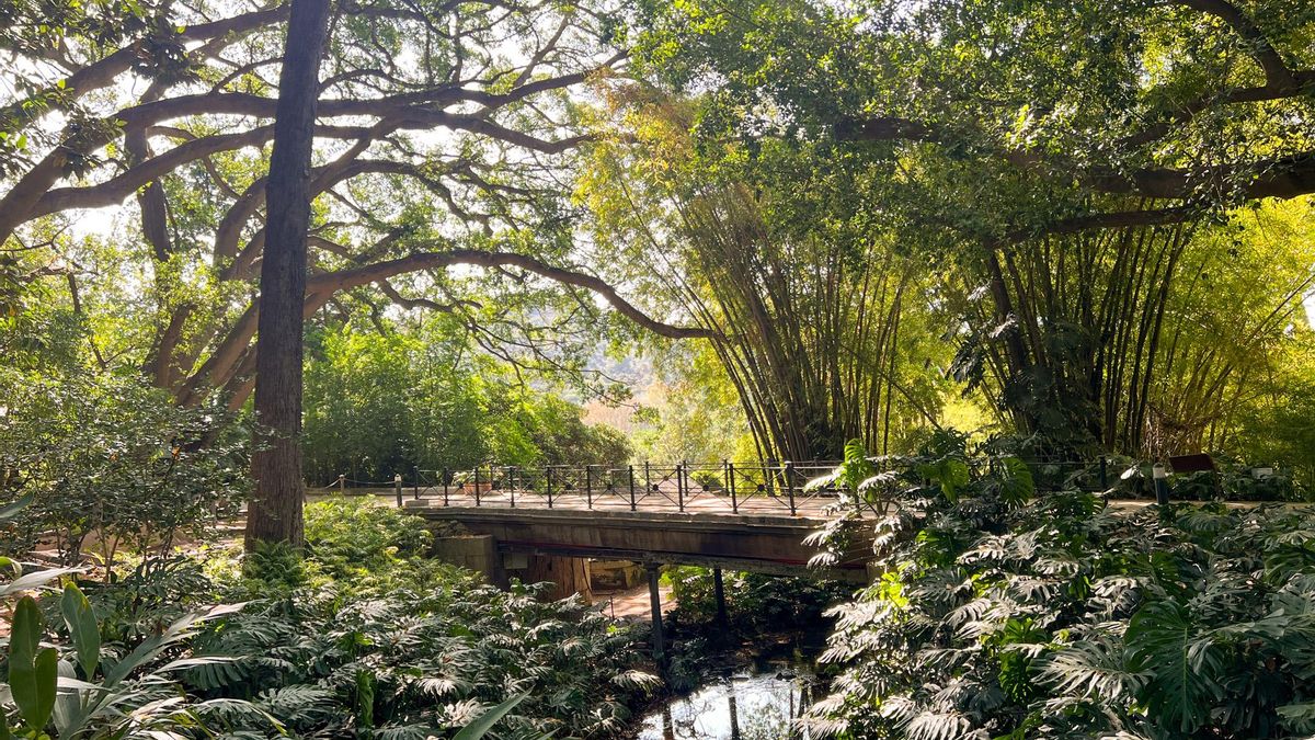 El jardín botánico de estilo inglés y romántico del siglo XIX que alberga una colección subtropical al aire libre muy peculiar